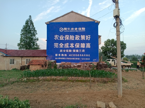 嘉禾墙体广告的优劣势你知道吗?