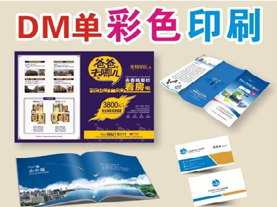 嘉禾单页印刷，色彩搭配简单。
